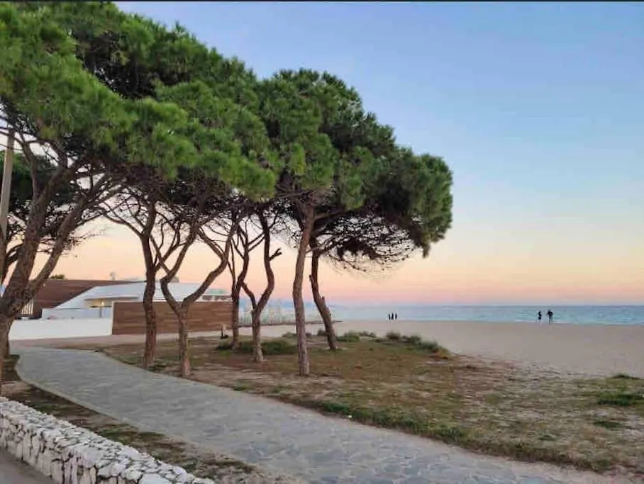Suite Poetto - 5 Min Form The Beach - Free Park - Wi-Fi - Self Check In - Netflix 콰르투 산텔레나 아파트